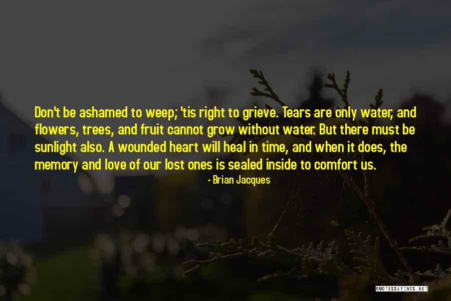 Brian Jacques Quotes 222793