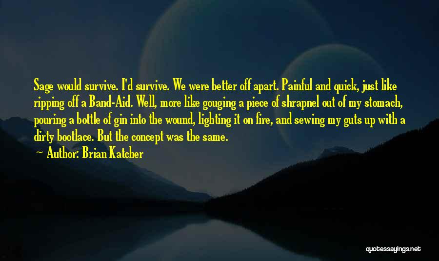 Brian Katcher Quotes 1379421 Brian Katcher Quotes 1379421