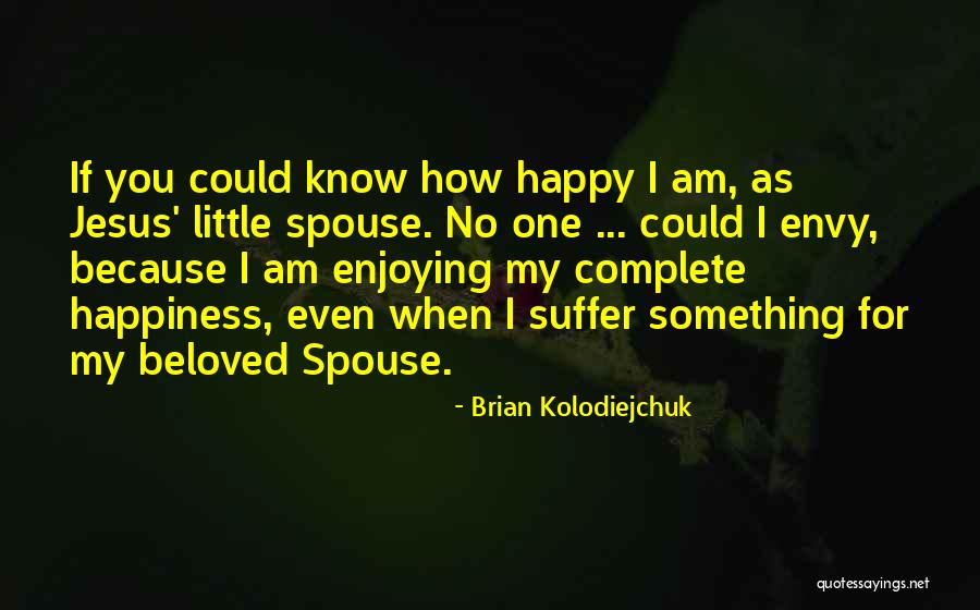 Brian Kolodiejchuk Quotes 305105