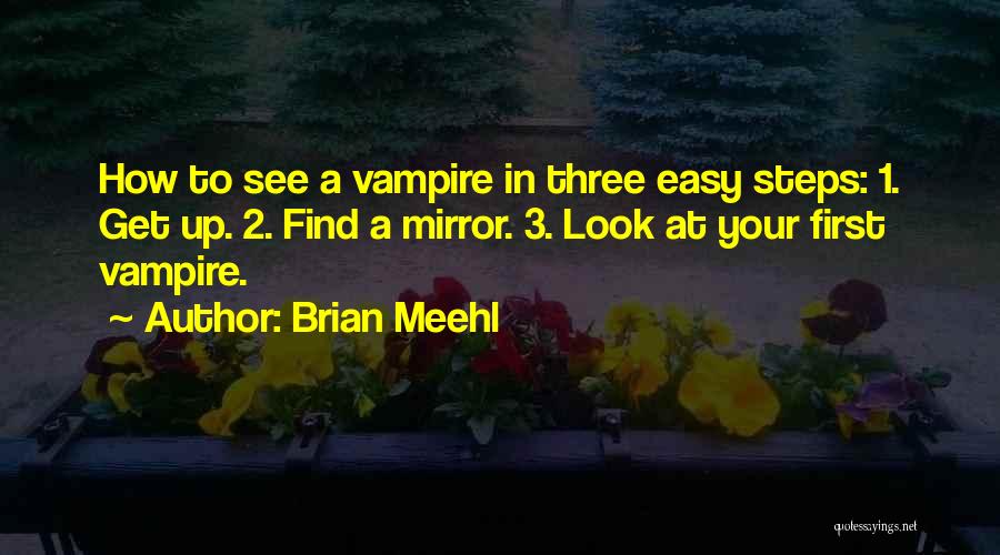 Brian Meehl Quotes 1616172