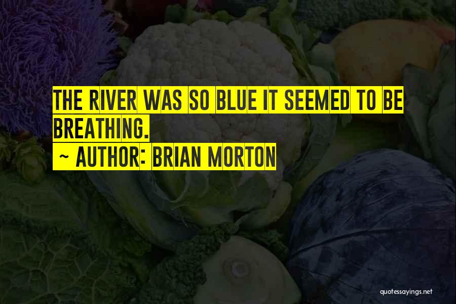 Brian Morton Quotes 1258623