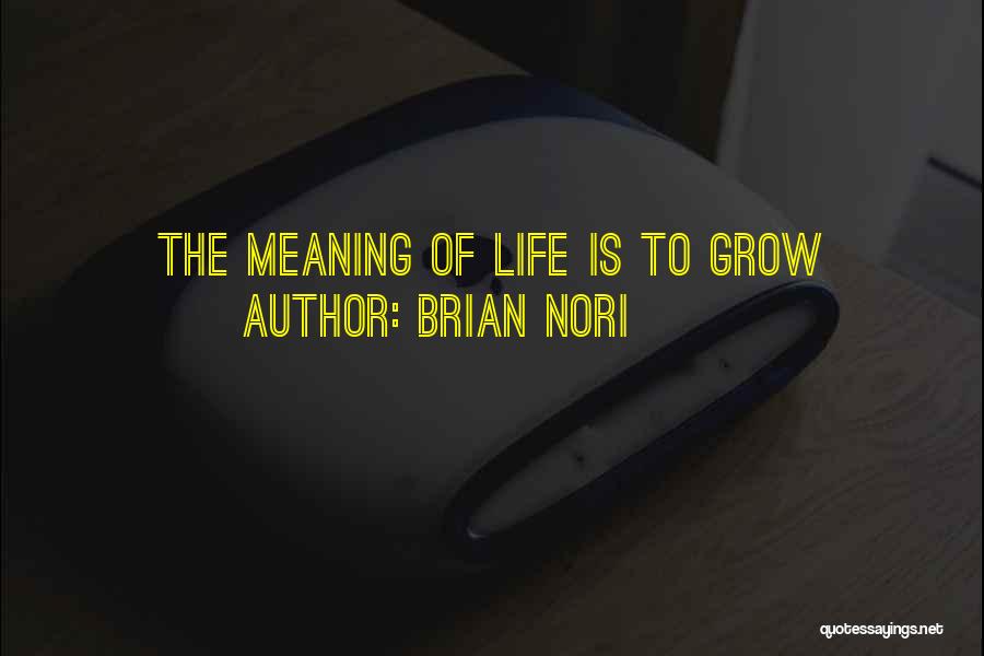 Brian Nori Quotes 2051481