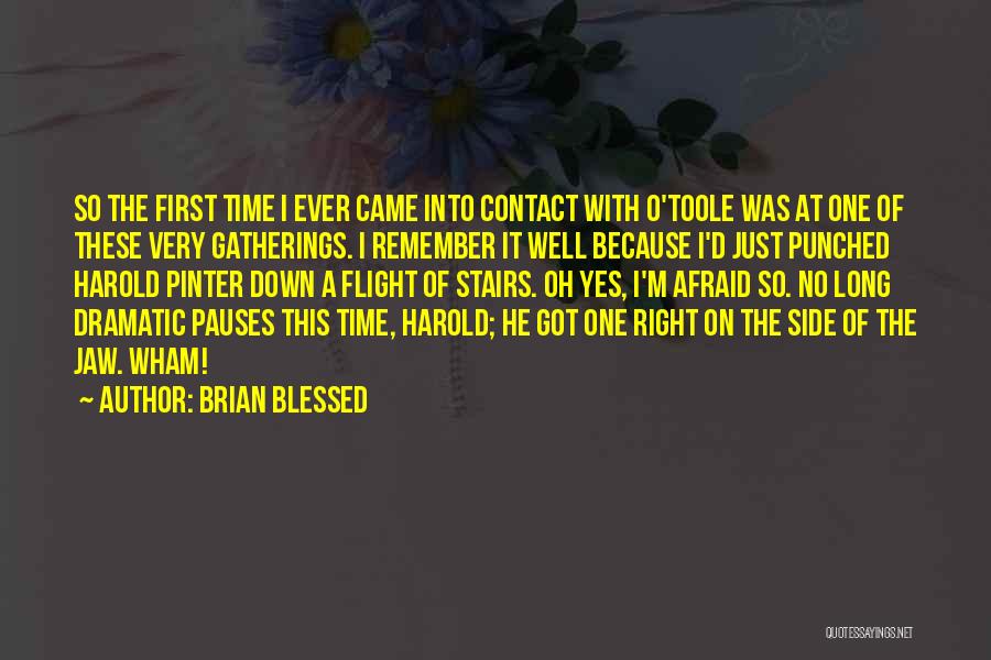 Brian O'nolan Quotes By Brian Blessed