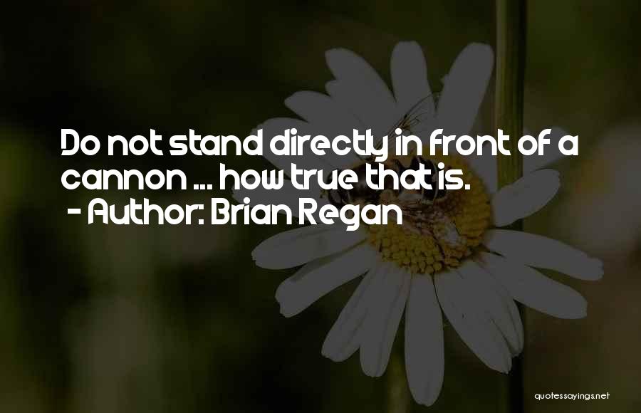 Brian Regan Quotes 2247232