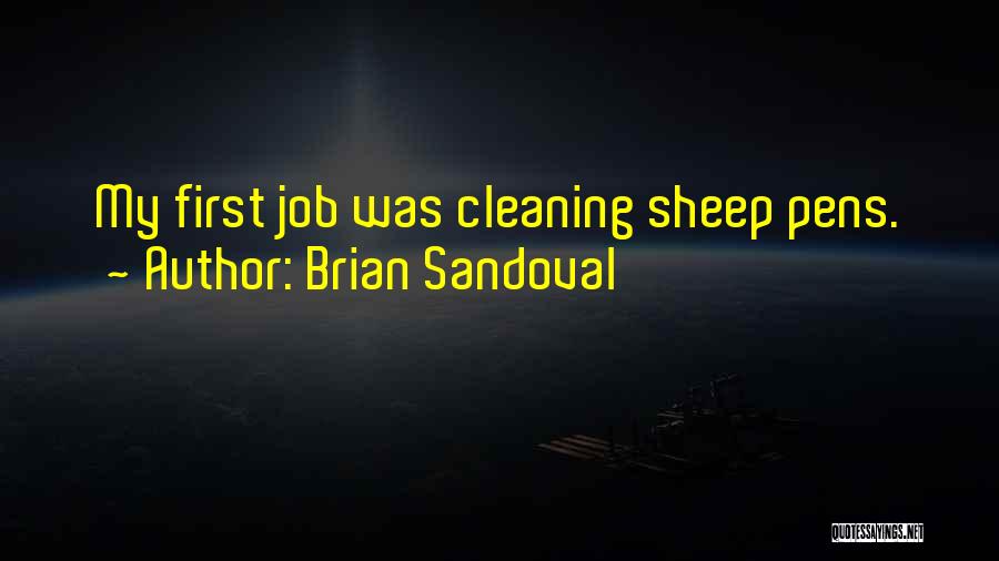 Brian Sandoval Quotes 1230667