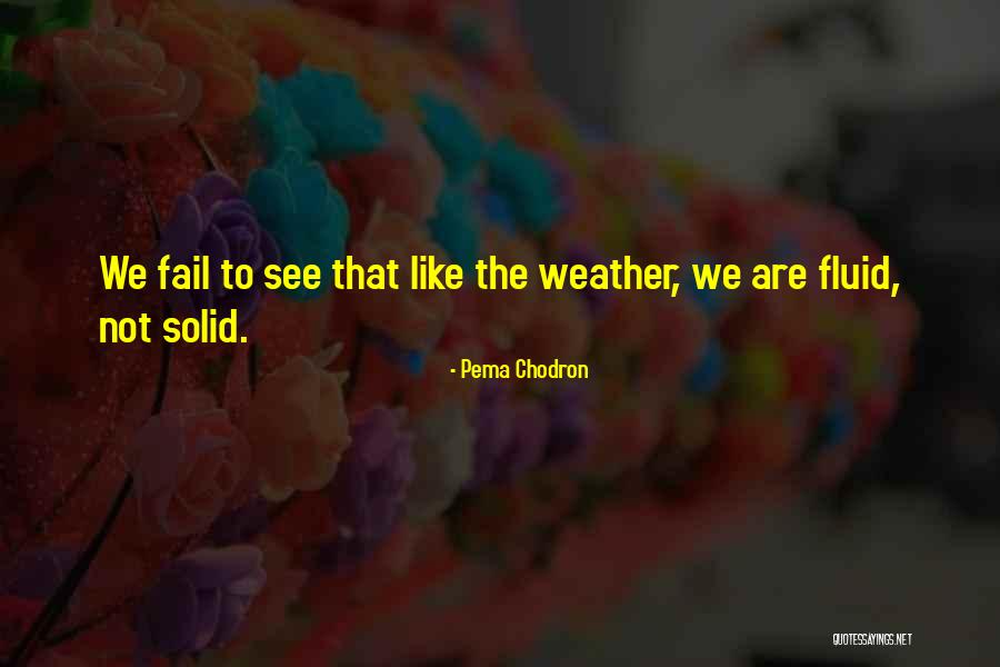 Brian Schmetzer Quotes By Pema Chodron Brian Schmetzer Quotes By Pema Chodron