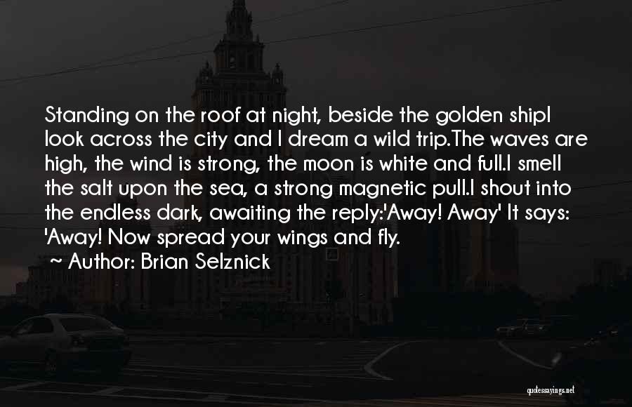 Brian Selznick Quotes 2237312