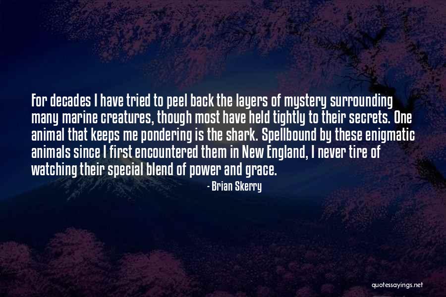 Brian Skerry Quotes 1551542