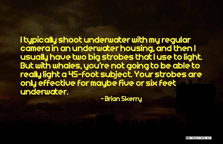 Brian Skerry Quotes 1960331