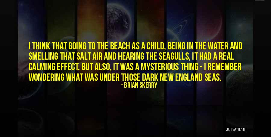 Brian Skerry Quotes 200479