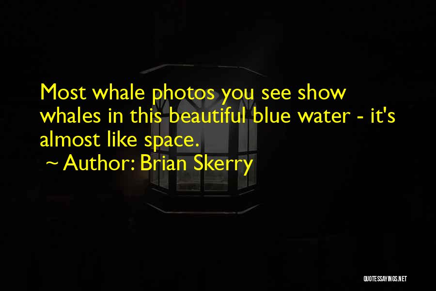 Brian Skerry Quotes 2044089