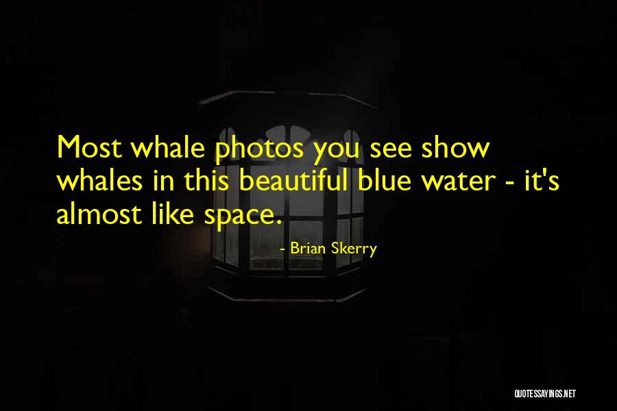 Brian Skerry Quotes 2044089