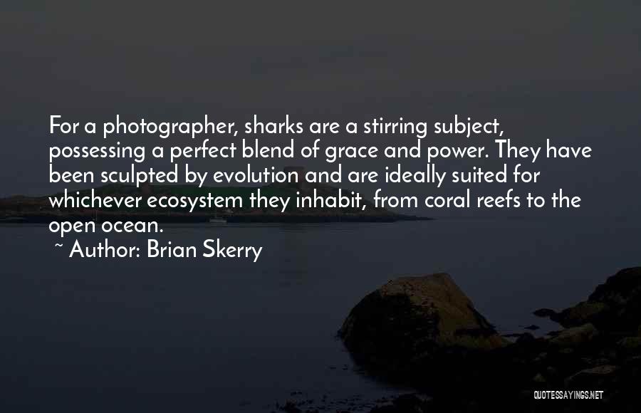 Brian Skerry Quotes 2219554