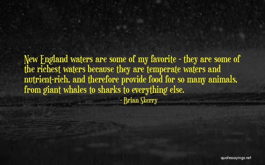 Brian Skerry Quotes 346599