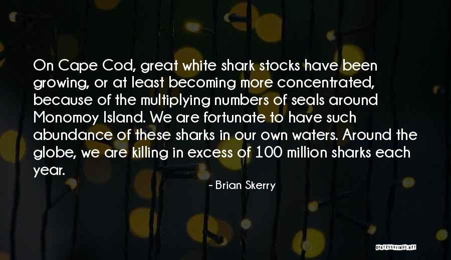 Brian Skerry Quotes 432372