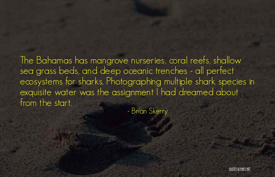 Brian Skerry Quotes 612881