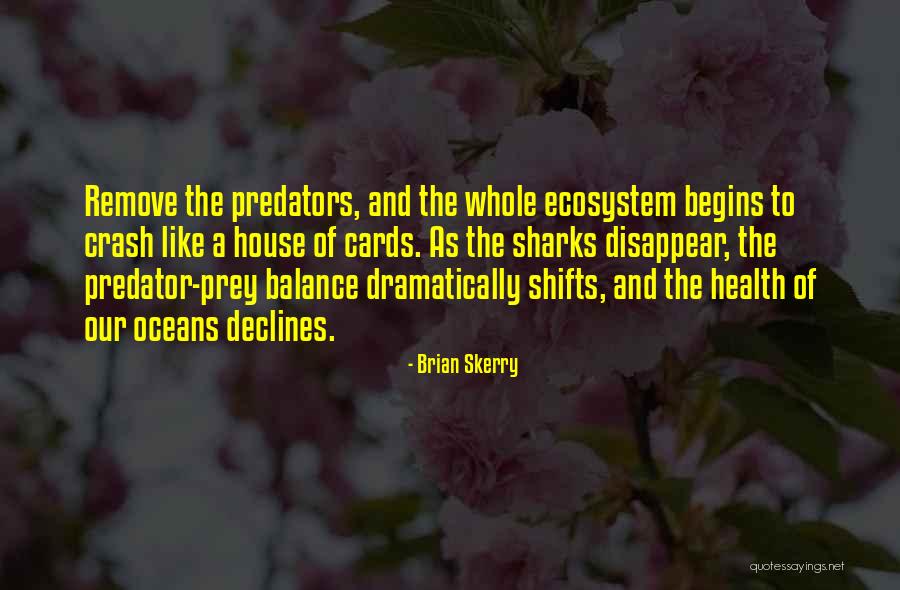 Brian Skerry Quotes 751127