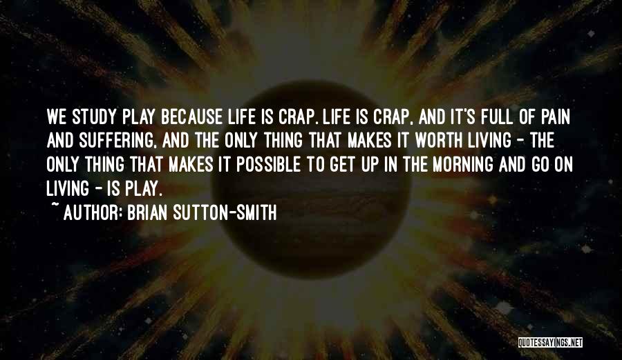 Brian Sutton-Smith Quotes 924517