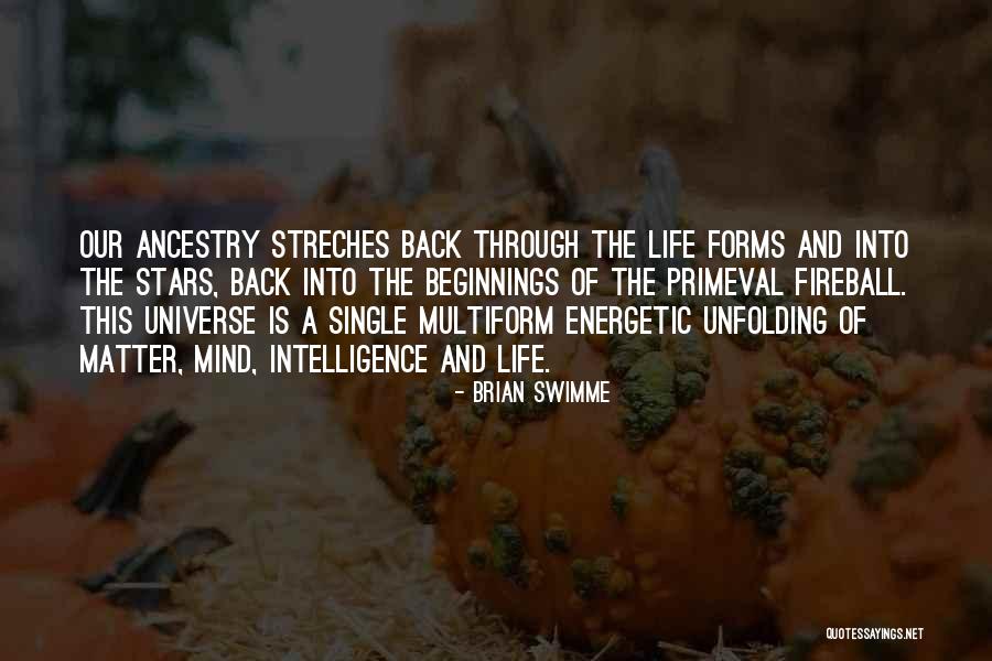 Brian Swimme Quotes 1250818 Brian Swimme Quotes 1250818