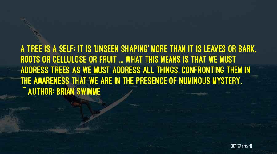 Brian Swimme Quotes 270085