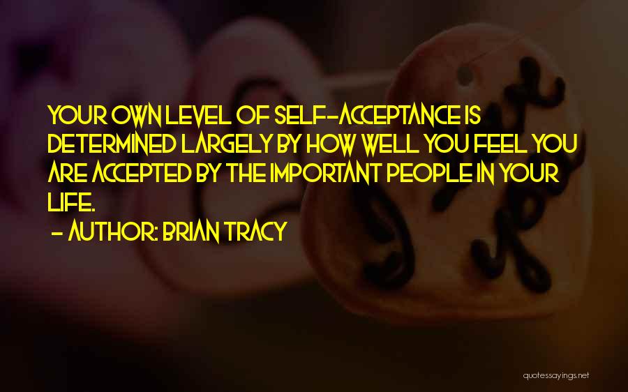 Brian Tracy Quotes 2026489