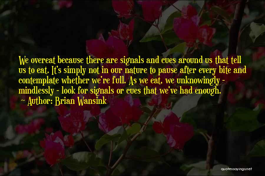 Brian Wansink Quotes 762700