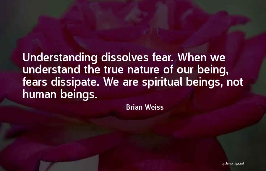 Brian Weiss Quotes 686474