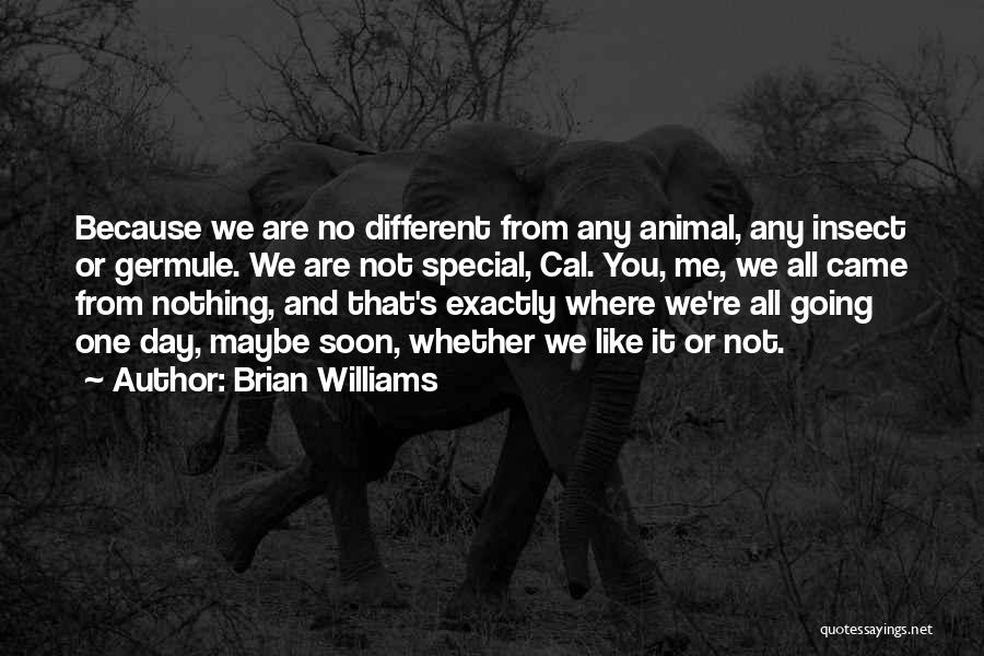 Brian Williams Quotes 985128