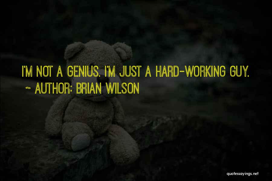 Brian Wilson Quotes 1001124