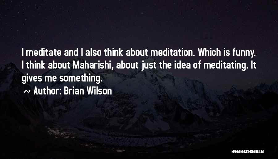 Brian Wilson Quotes 1396547