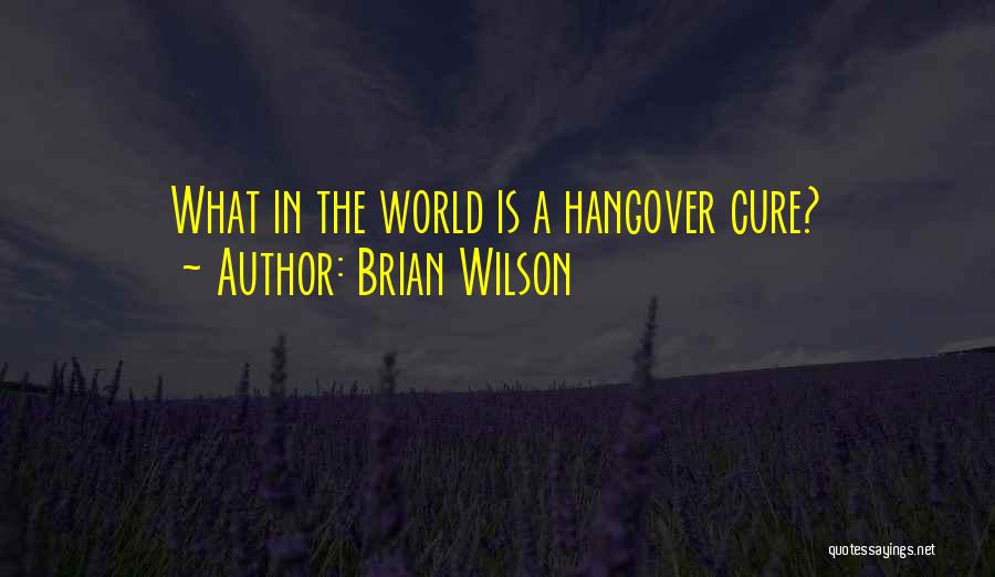 Brian Wilson Quotes 1584966