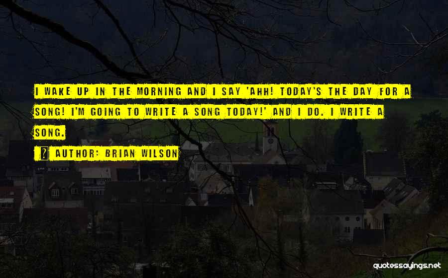 Brian Wilson Quotes 1587076