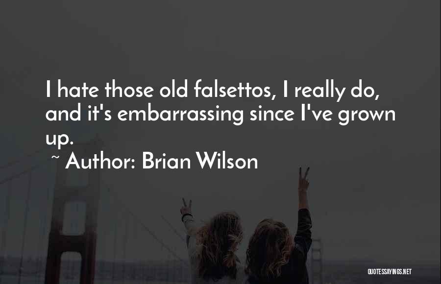 Brian Wilson Quotes 1959271