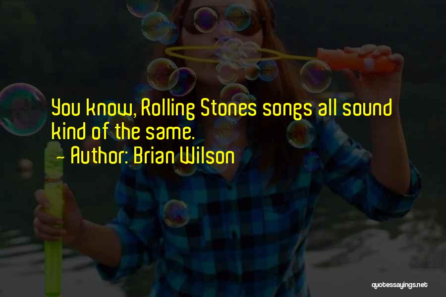 Brian Wilson Quotes 354640