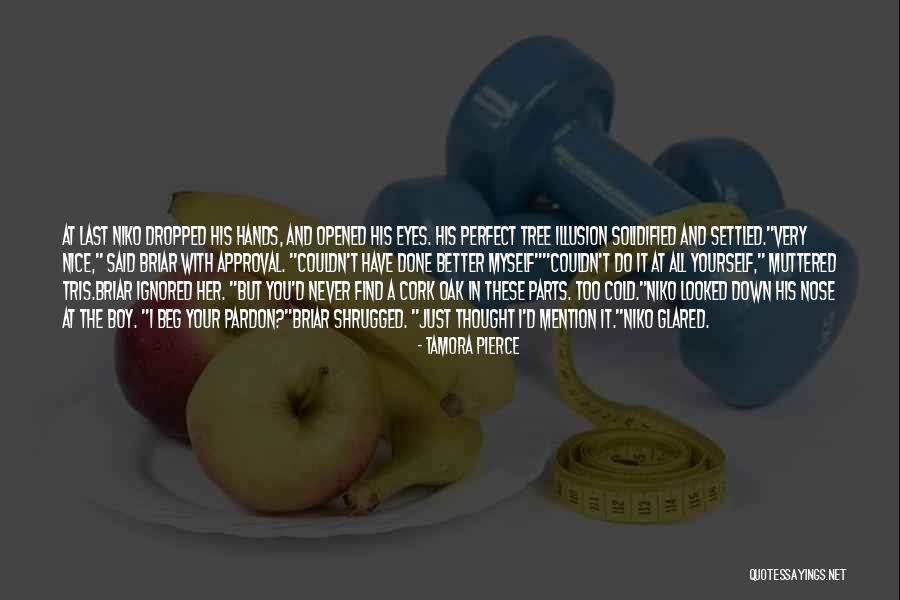 Briar Quotes By Tamora Pierce Briar Quotes By Tamora Pierce