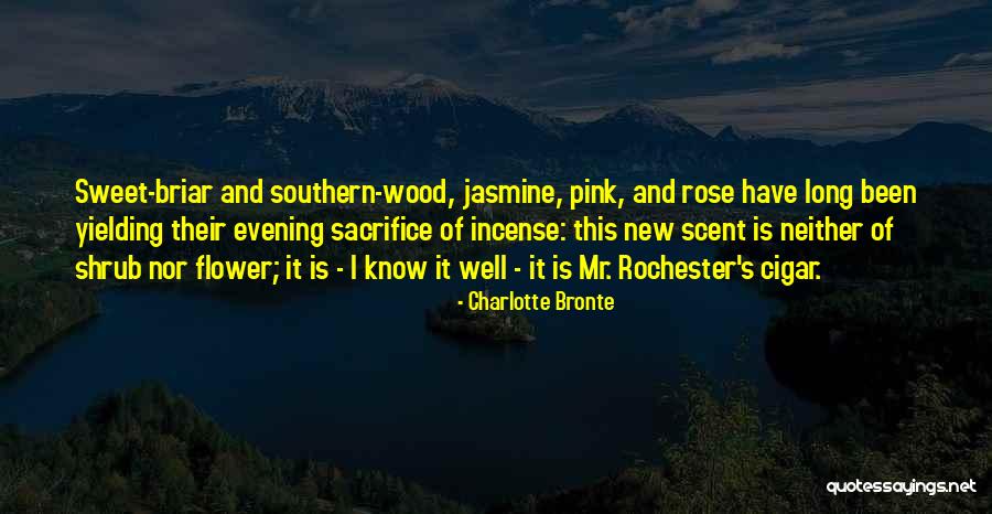 Briar Rose Quotes By Charlotte Bronte