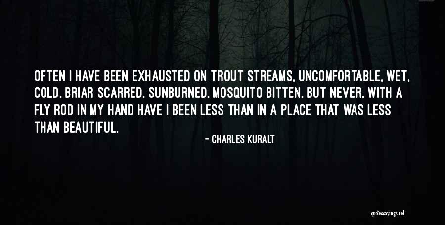 Briar U Quotes By Charles Kuralt Briar U Quotes By Charles Kuralt