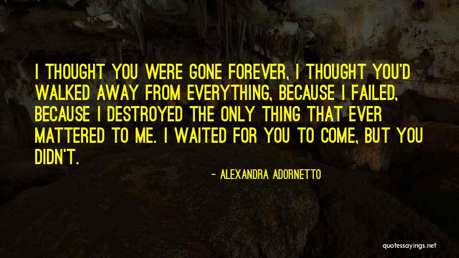 Briard Quotes By Alexandra Adornetto Briard Quotes By Alexandra Adornetto
