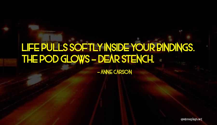 Brias Quotes By Anne Carson Brias Quotes By Anne Carson