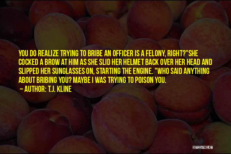 Bribe Quotes By T.J. Kline