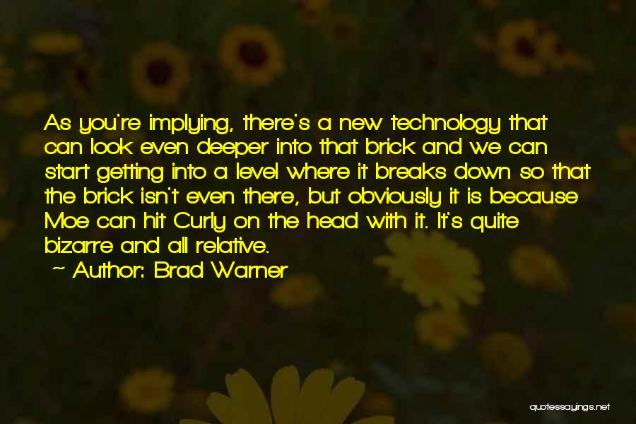 Brick Head Quotes By Brad Warner