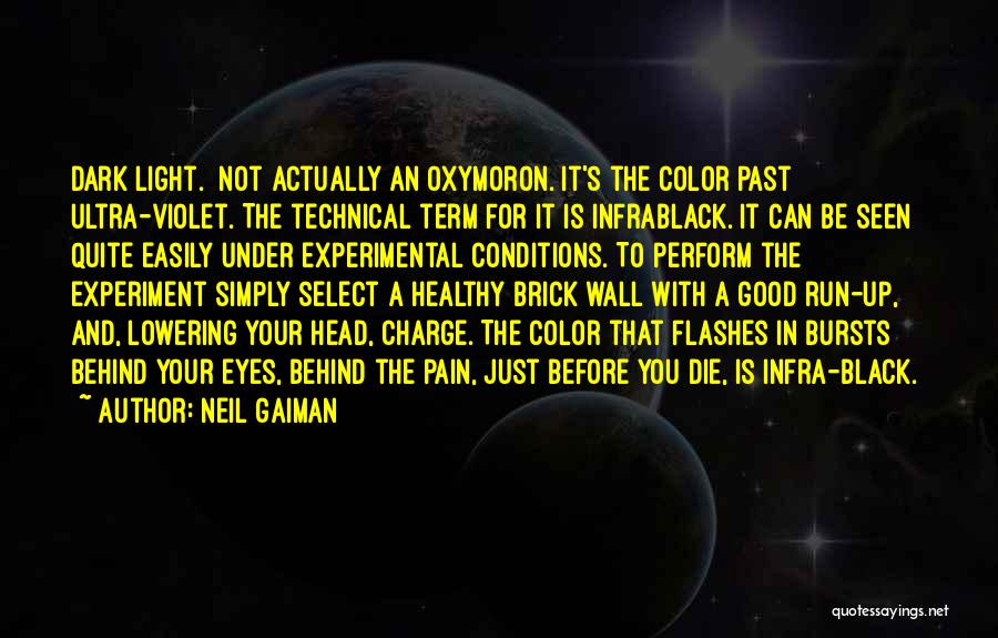 Brick Head Quotes By Neil Gaiman