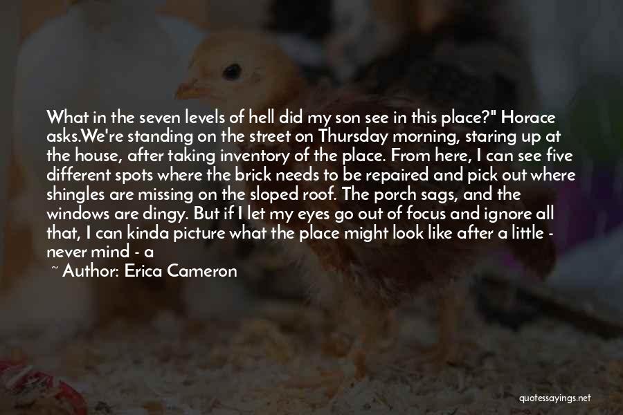 Brick Porch Quotes By Erica Cameron