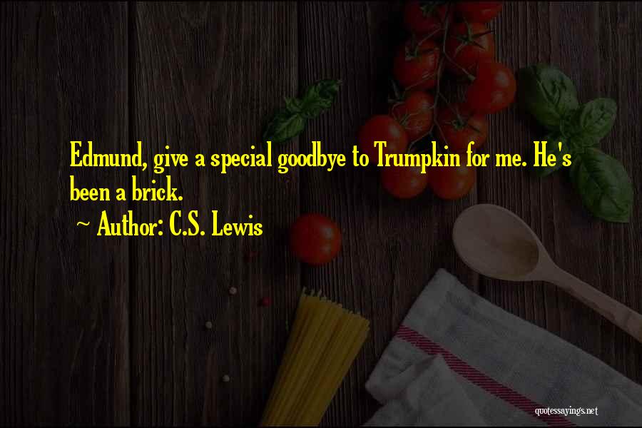 Brick Quotes By C.S. Lewis