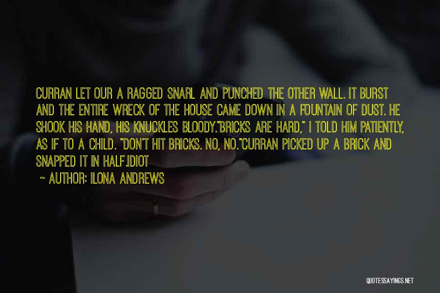 Brick Quotes By Ilona Andrews