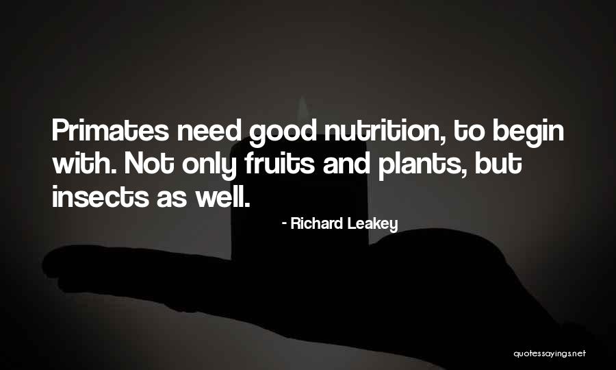 Brick Timberland Quotes By Richard Leakey Brick Timberland Quotes By Richard Leakey