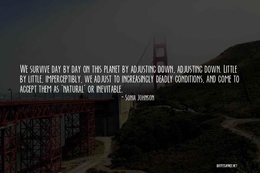 Bricklayer Pics With Quotes By Sonia Johnson Bricklayer Pics With Quotes By Sonia Johnson