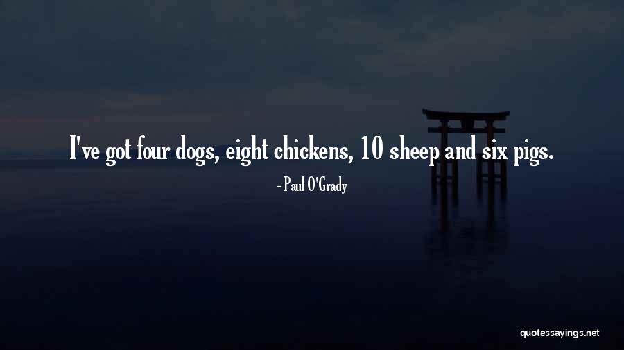 Brickners Little Chicago Quotes By Paul O'Grady Brickners Little Chicago Quotes By Paul O'Grady