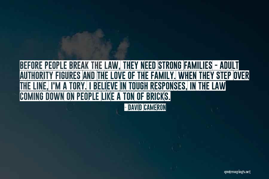 Bricks And Love Quotes By David Cameron Bricks And Love Quotes By David Cameron