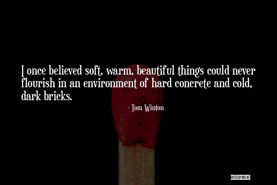 Bricks And Love Quotes By Tom Winton Bricks And Love Quotes By Tom Winton